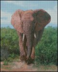 (image for) African Elephant - DS
